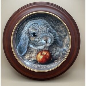 1997 Bradford Exchange Vivi Crandall Bunny Tales Framed Plate "Apple Dumplin"